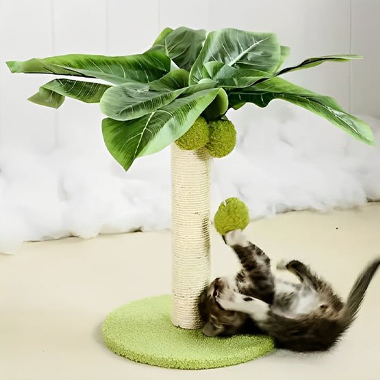 Griffoir chat | ProtectDesign