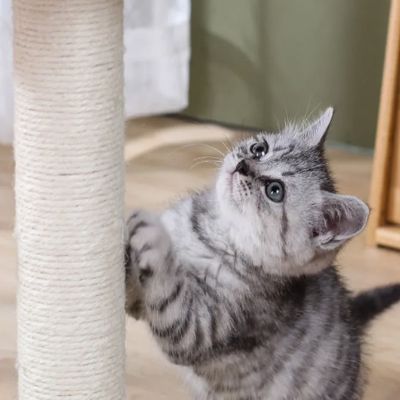 Griffoir Chat - ScratchingPostâą- Beige