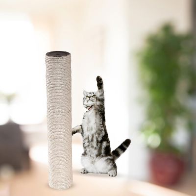 Griffoir Chat - ScratchingPostâą- Beige