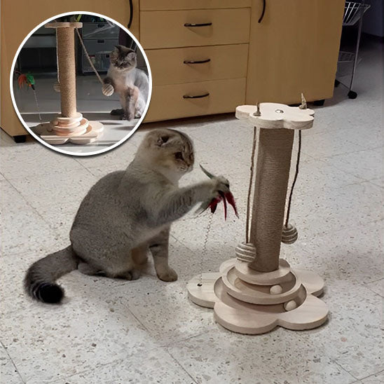 arbre a chat en bois interactif stimulant™