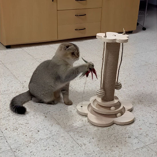 arbre a chat en bois interactif stimulant™