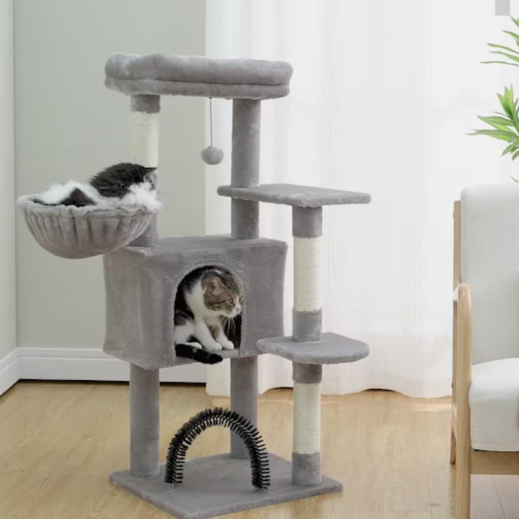 exploration felins sur arbre a chat