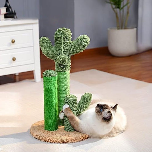 Griffoir chat | Cactus Style