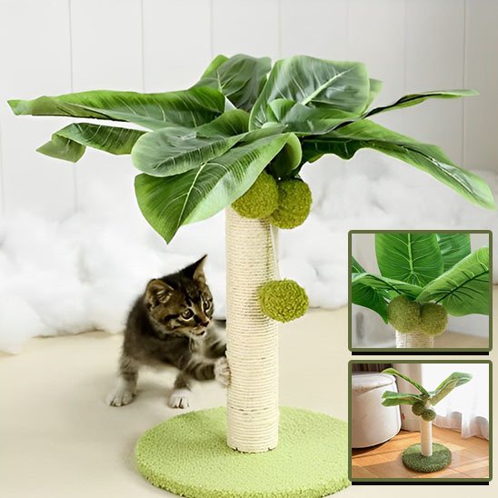 Griffoir chat | ProtectDesign