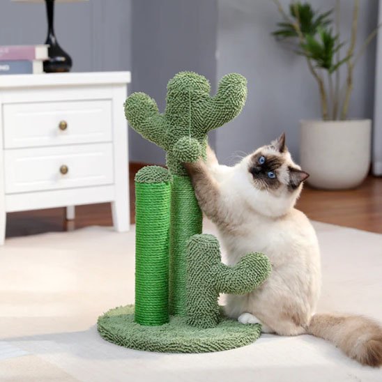 Griffoir chat | Cactus Style