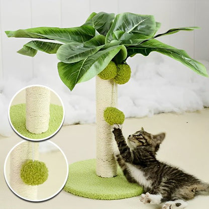 Griffoir chat | ProtectDesign