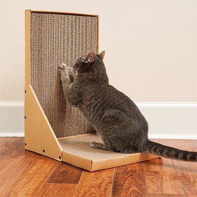 Griffoir en carton pour Chat | ProtectMeuble