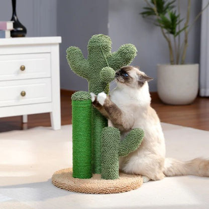 Griffoir chat | Cactus Style