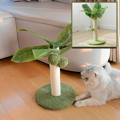 Griffoir chat | ProtectDesign