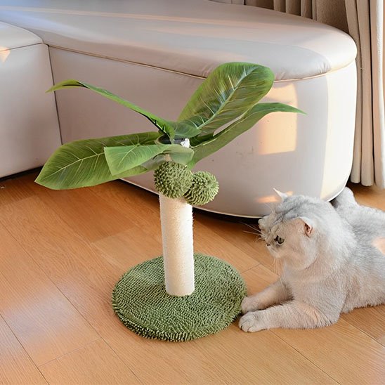 Griffoir chat | ProtectDesign